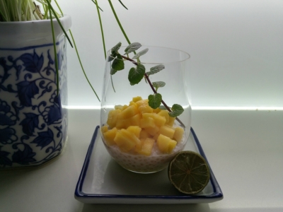 Tapioka Cocos Creme
